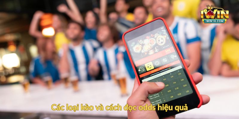 Các loại kèo và cách đọc odds hiệu quả